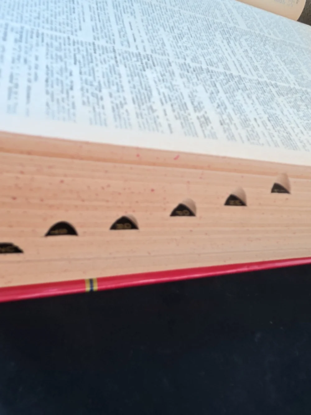 Webster's Encyclopedic Unabridged Dictionary - Red Cover 1981